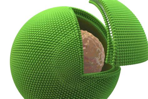 hybrid artificial natural cells bring      worlds