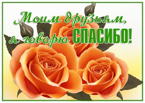 Красивая картинка спасибо | Открытки Онлайн
