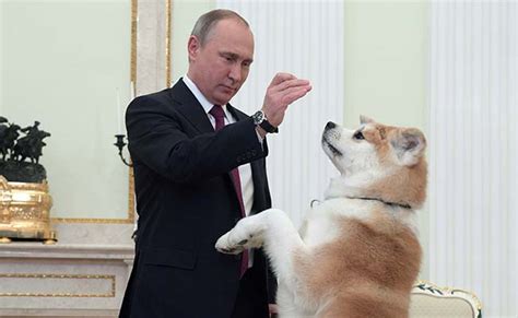 Russian President Vladimir Putin Tries Dog Diplomacy Before Japan Trip