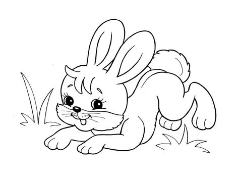Dibujos de Animales para Colorear. Descargar o imprimir para niños