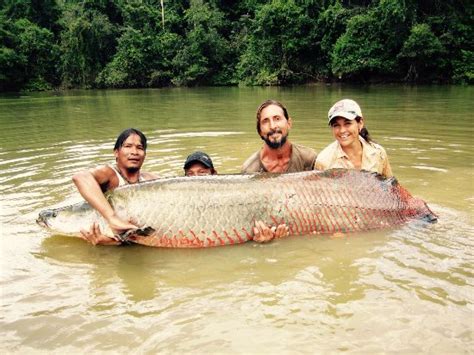 JAGUAR AMAZON TOURS - 2022 What to Know BEFORE You Go (Manaus)