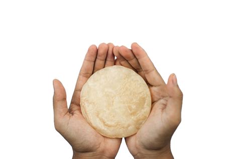 scoby  fungsinya wiki kombucha