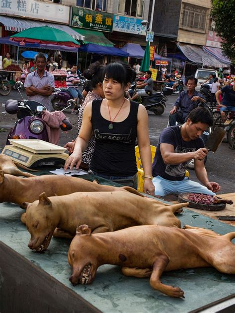 Asian Street Food: A Culinary Journey You'll Never Forget! Image 17