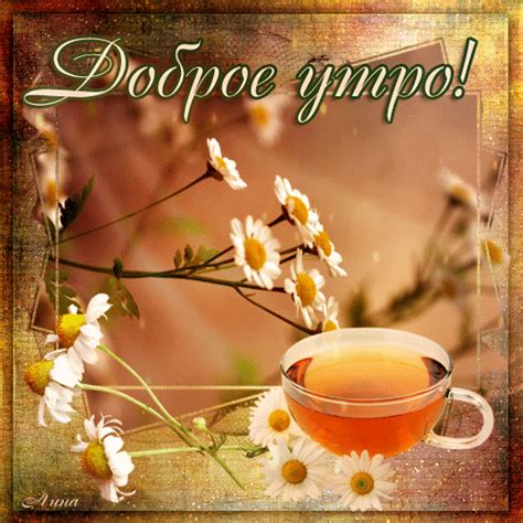 С добрым утром - красивые летние картинки (30 штук)