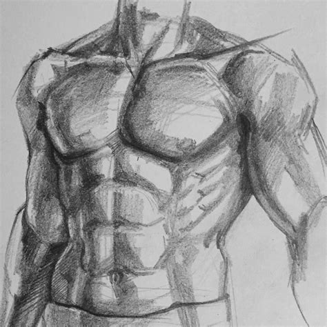 muscle sketch  paintingvalleycom explore collection  muscle sketch