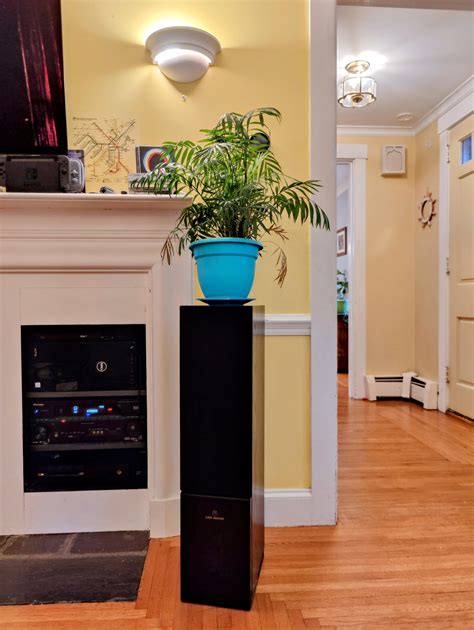 Desperate attempt to increase WAF : r/plantfi