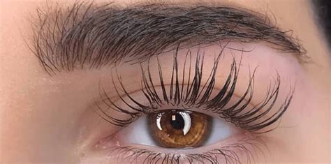 Lash lift kit – Artofit