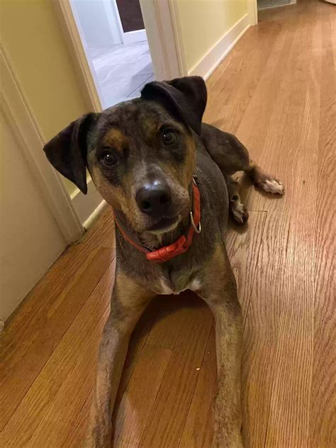 What makes living in Higganum CT so special for families 15