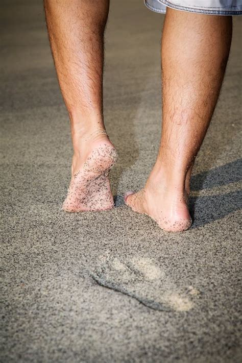 Legs of a Man Walking on the Beach Stock Image - Image of walk, walking ...