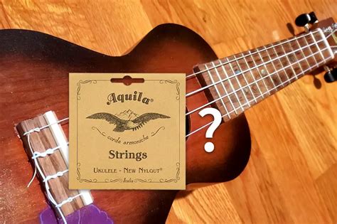 What Ukulele Strings Are Best for Beginners? – Clean My Instrument