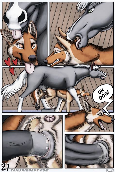 Rule 34 - animal genitalia animal penis animal pussy canine canine