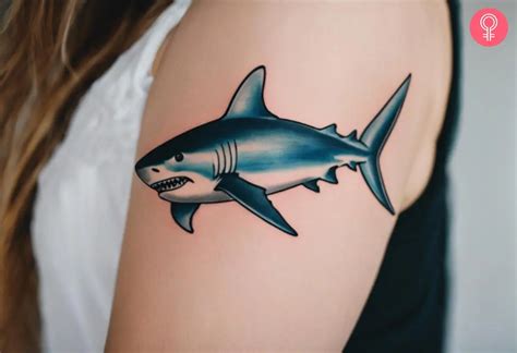 tiger shark tattoo  fierce designs  show  wild side