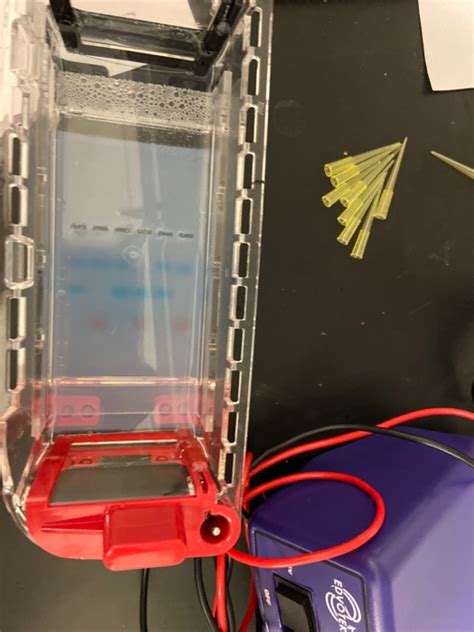 Solved answer the following questions. 1. How can DNA be | Chegg.com 