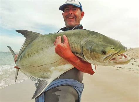 monster leerfish monster fishing sea fish beautiful fish