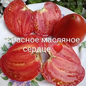Томат Красное Масляное сердце . США. Помидоры до 1 кг!
