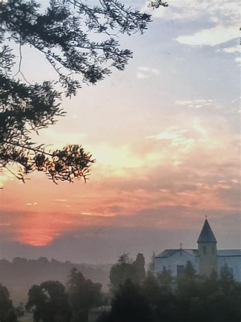 hiding place coffee  cream  sugar