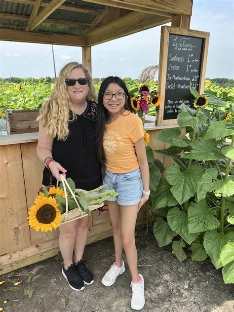 Sunflower U-Pick - Western Belle Farm