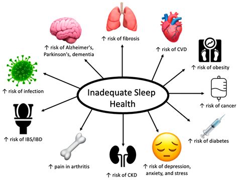 Healthy Sleep Every Day Keeps the Doctor Away