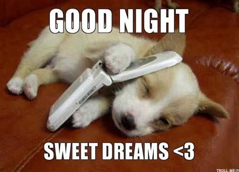 50 cutest goodnight memes