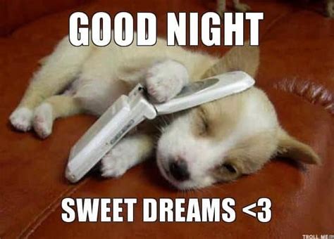 50 Cutest Goodnight Memes - SayingImages.com