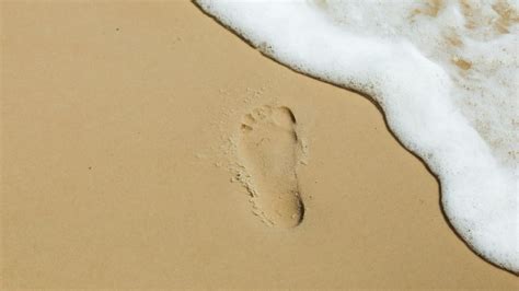 Omegle+Feet Photos, Download The BEST Free Omegle+Feet Stock Photos