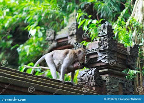 details  temple  ubud monkey forest stock image image  ubud