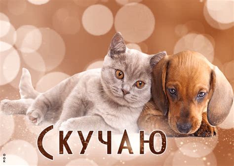 Открытки скучаю | ТОП Картинки