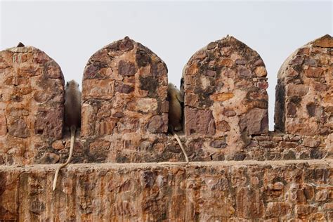 exploring  magnificence top  forts  india interesting