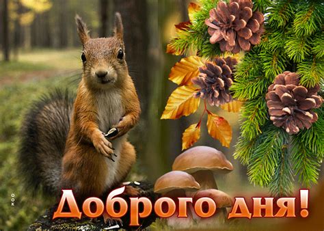 Прикольная анимационная открытка с белочкой Доброго дня- Скачать ...