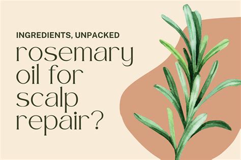 Rosemary Oil For Scalp Repair – Vigor Roots™