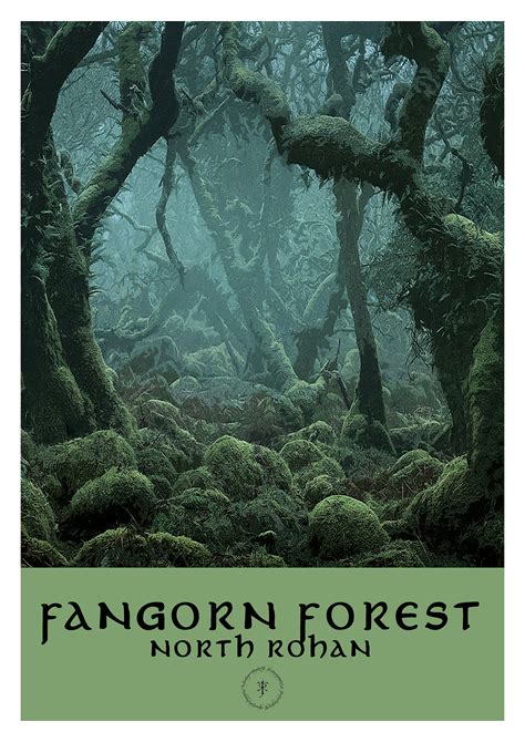 Fangorn Forest Lord of the Rings Poster JRR Tolkien Rohan LOTR | Etsy