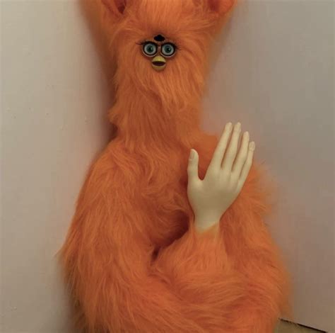 cursed furby : Cursed_Images