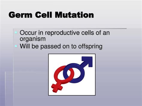 PPT - Mutations PowerPoint Presentation, free download - ID:3623802