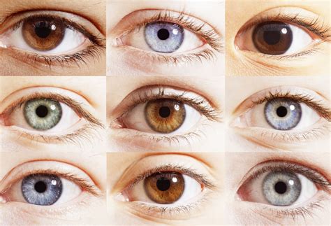 simple steps  protect  eyes    northwell