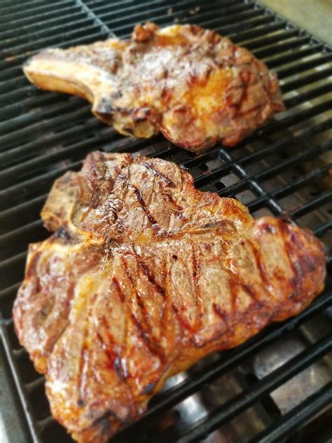 premium cook    grill grilling