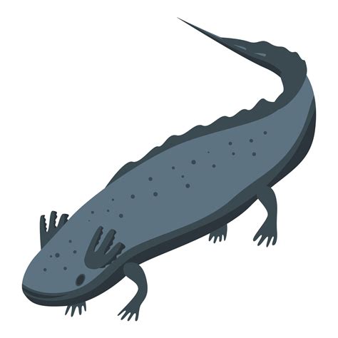 Mexican salamander icon, isometric style 15651682 Vector Art at Vecteezy