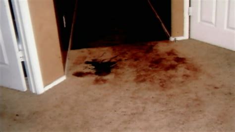 10 Disturbing Truths Hidden in Jodi Arias' Crime Scene Photos - o0gnvnb