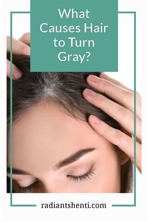 What causes hair to turn gray – Artofit