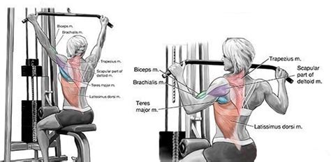 TOP 20 Lat Pulldown Machine Exercises for Best Workout