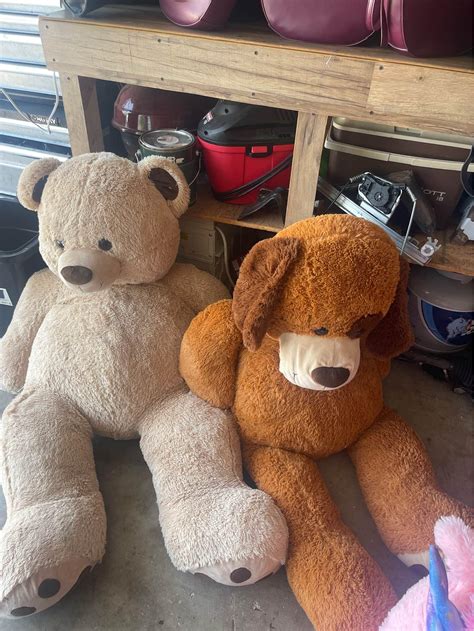 Buy or sell pre-owned giant teddy bears in Dallas, Texas | Facebook