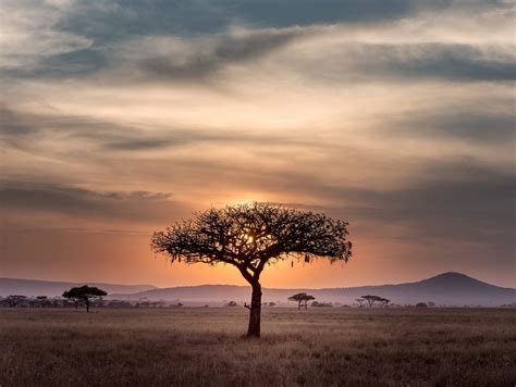 Lake Victoria, Africa. Sights, Activities, Wildlife & Fun Facts | Home