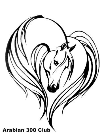 Arabian Horse Head Drawing at GetDrawings | Free download