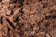 Loose soil texture. Dirt backdrop. Ground background. | Nature Stock ...