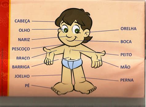Parte Do Corpo Com F - Parte Do Corpo Humano Com F - FDPLEARN