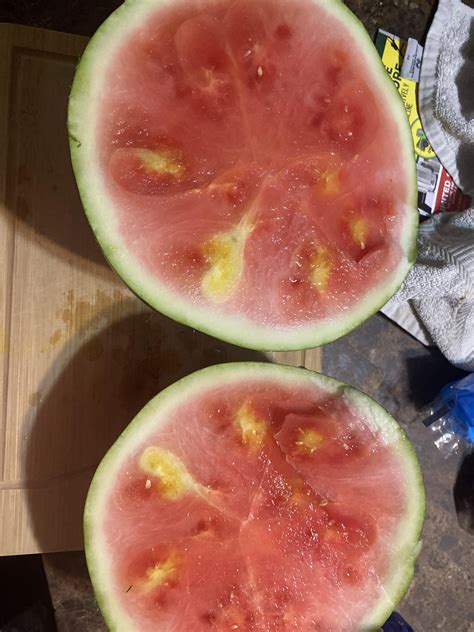 What’s wrong with my watermelon? : r/plants