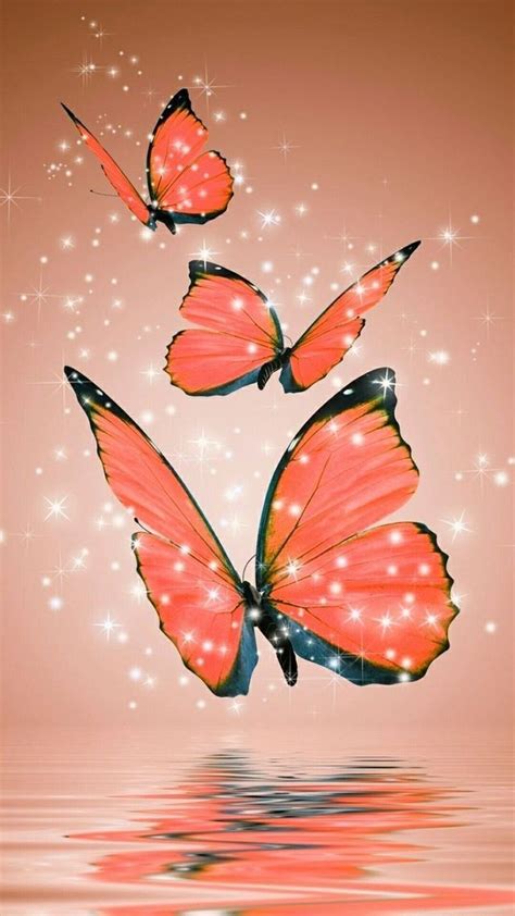 🔥 Free Download Wallpaper Iphone In Orange Pi Butterfly by @abarton8 ...