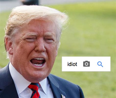 google proves   doubt donald trump   idiot juggler design