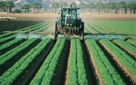 Agricultura Na Regiao Sudeste - Agricultura na região Sudeste: zona tem papel importante no agro nacional