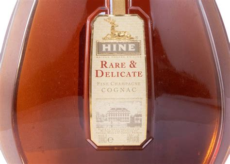 Cognac Hine Rare & Delicate 1L