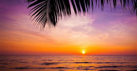 dream meaning  sunset    time   beginnings